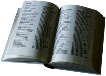 W&ouml;rterbuch